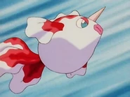 Goldeen