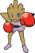 Hitmonchan