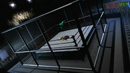 Wrestler User down from Matrix