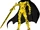 Gold Robo-Rider (episode)