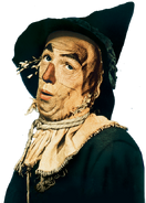 Dan - Scarecrow (The Wizard of Oz)