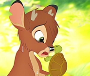 Ronno is snapped by a turtle