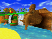 Taj's head replaces Wizpig's on the mountain in the ending of Diddy Kong Racing DS