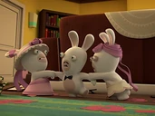 513EgV+QGyL. RI .jpg (34 KB) Female Fancy Rabbid