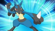 Lucario