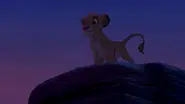 Simba as cub