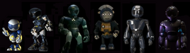 TOM Evolution