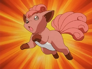 Vulpix