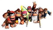 The kongs