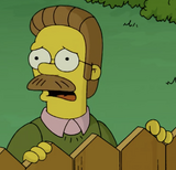 Ned Flanders 24