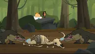 The reality tv pros, found a Komodo dragon.