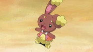 Dawn Buneary.png (63 KB) Buneary