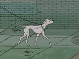 Perdita