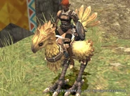 Chocobo rider (FFXI)