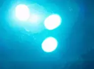 Blue Deadlights/True form