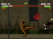 Johnny's Kangaroo Animality