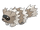 Zigzagoon