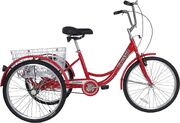 Gavin's Red trike with basket