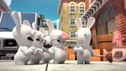 The Nosed Rabbid