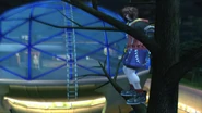 Mikado Dome
