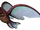 Neebray