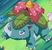 Bulbasaur → Ivysaur → Venusaur ↔ Mega Venusaur ♀