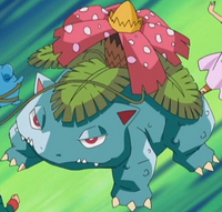 May Venusaur