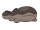 Clodsire