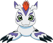 Gomamon t