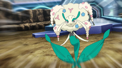Flabebe → Floette → Florges ♀