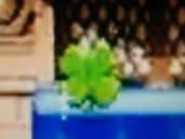 Four Leaf Clover.jpg (32 KB)