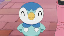 Piplup feliz