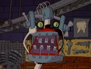 Brace-headed Oblina