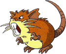 Raticate
