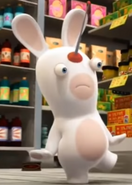 R.C. Rabbid