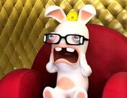 Black Glasses Rabbid