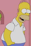Homer Simpson 9