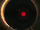 S/D Decimator droid