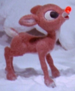Baby Rudolph