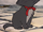 Berlioz