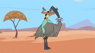 Sierra's emu tries to eat her.