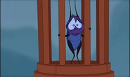 Cri-Kee in cage