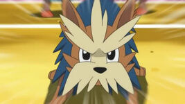 Jun's Lillipup has evolved into Herdier.