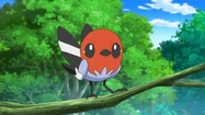 Felicia (Female Fletchling)