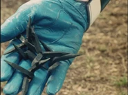 Kakureryumakibishi.jpg (50 KB) Aquitar Pointed Nails