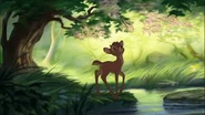 Ronno swears revenge on Bambi