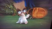 Bag Eyebrows Glasses Teeth Rabbid