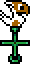 Chocobo vane (Mystic Quest)