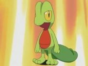 Treecko