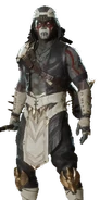 Wolf Wraith